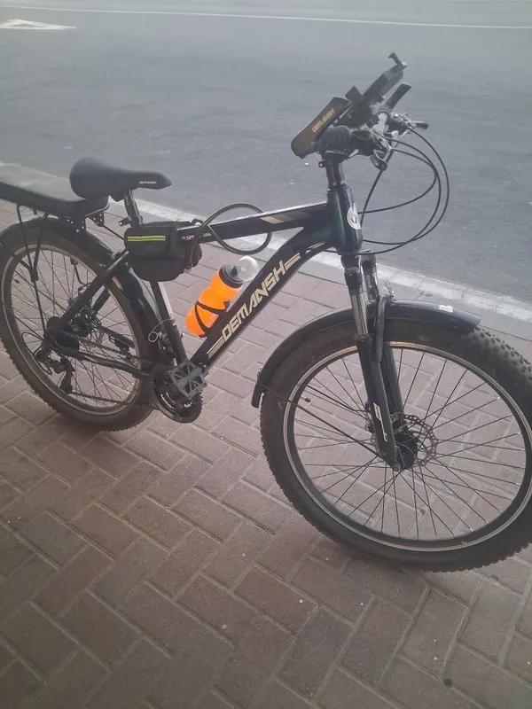 Velosiped demanesh 2