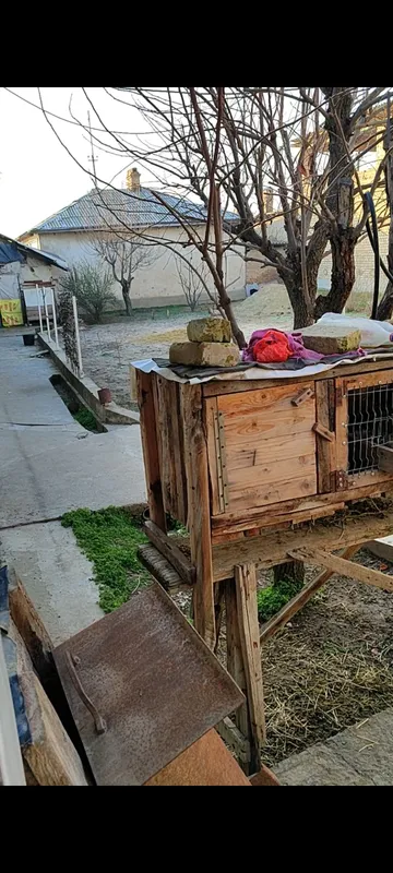 Uyli yer uchastkasi. 6