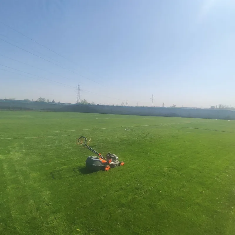 Gazon yotqizamiz lanshaft hizmati ,agro doktr bor — фото 1