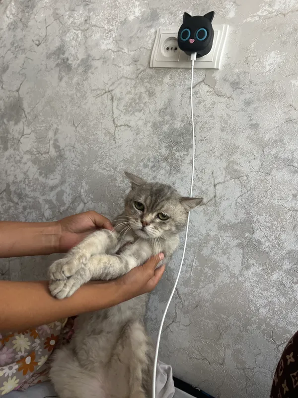 Продаётся, цена будет согласована, пишите, обращайтесь 2