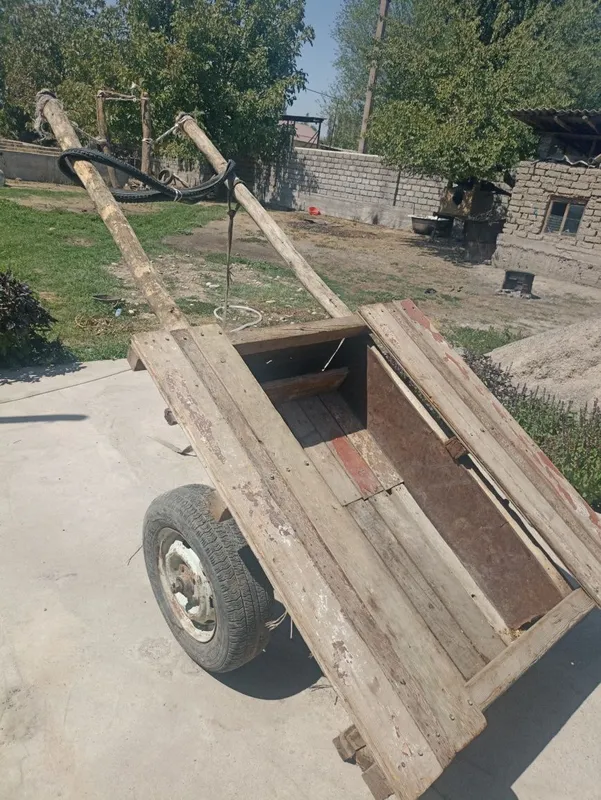 Eshak arava sotiladi Soglom kuchli erkak eshak sotiladi — фото 3