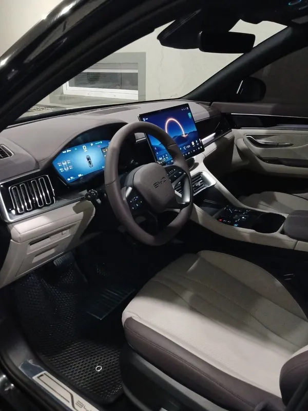 byd chempion smart — фото 2
