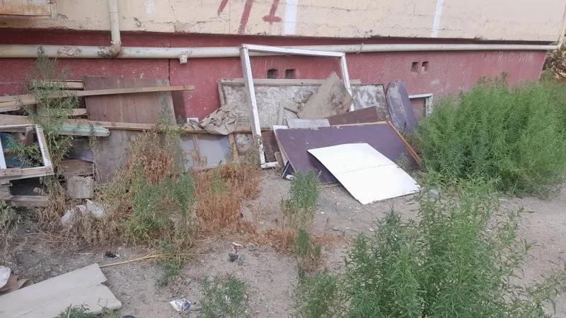 Агаш, деревяшки, отын 2