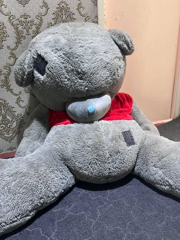 Teddiy yangi tez soʻriladi pul zarur 2 Teddiy yangi tez soʻriladi pul zarur 2