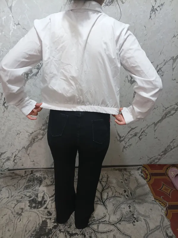 шим 3