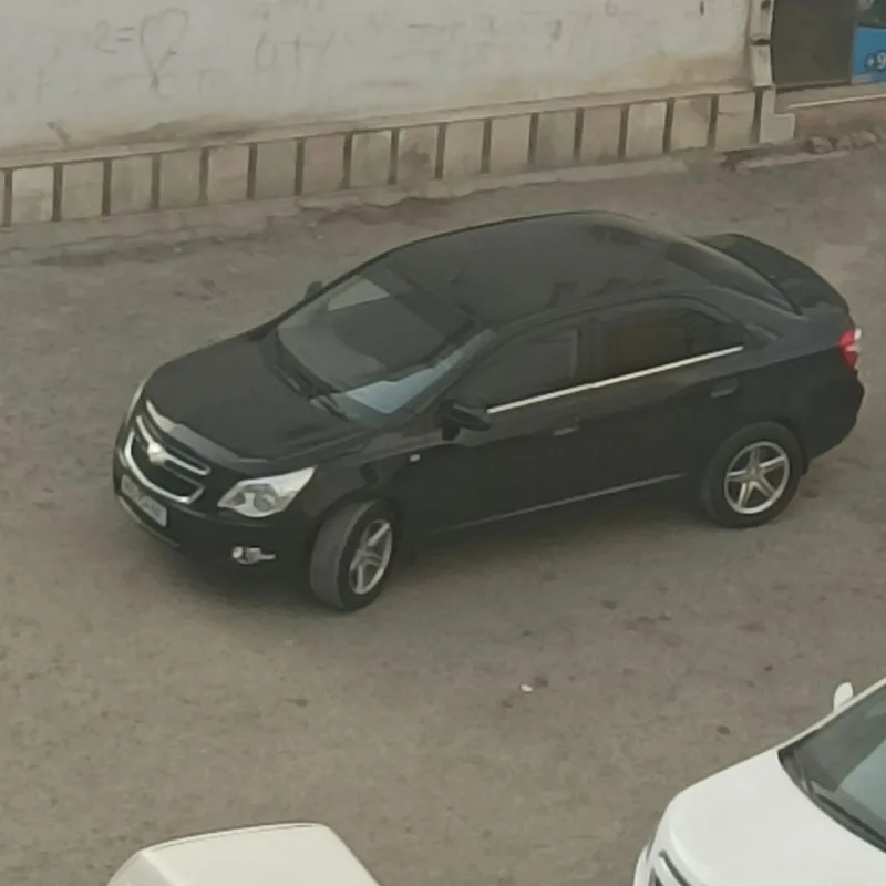 1 yil kafolati bilan