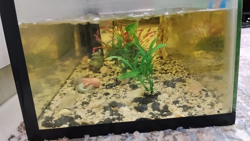 AKVARIUM 4