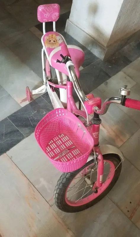 velosiped bor yo‘g‘i bir marta haydalgan