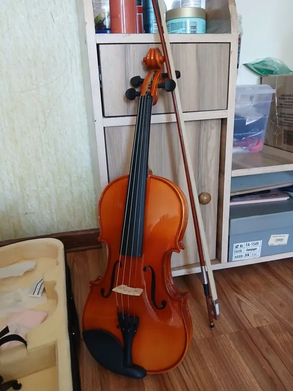 Skripka violin strings