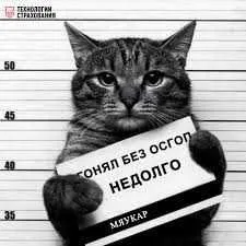 Осгоп, пассажирское страхование. Пассажир суғуртаси. Такси. — фото 4