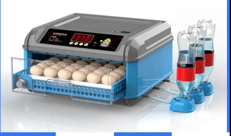 Inkubator 48 talik