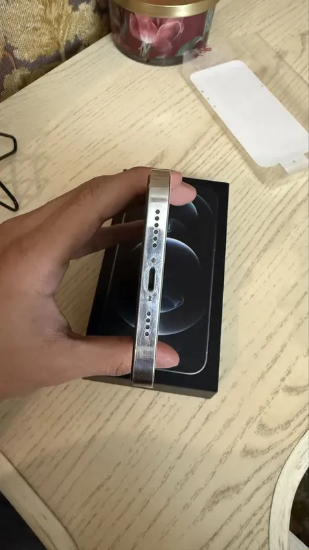 iPhone 12 Pro Max, Silver, 256gb, LL/A — фото 6