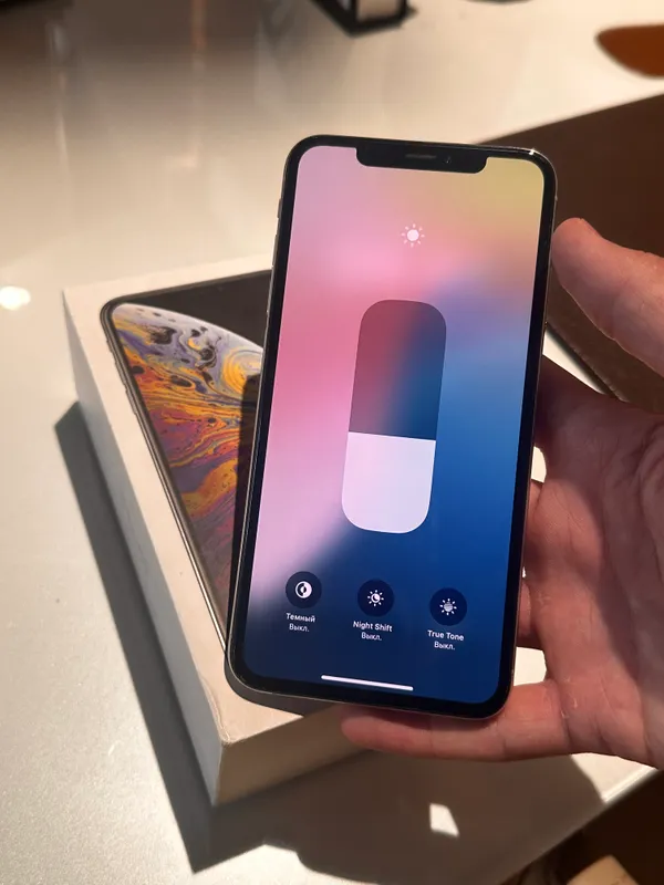 Iphone XS Max 256 Gb 2