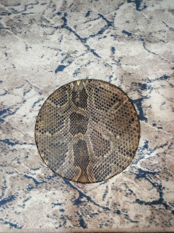 Круг из змеиной кожи 1