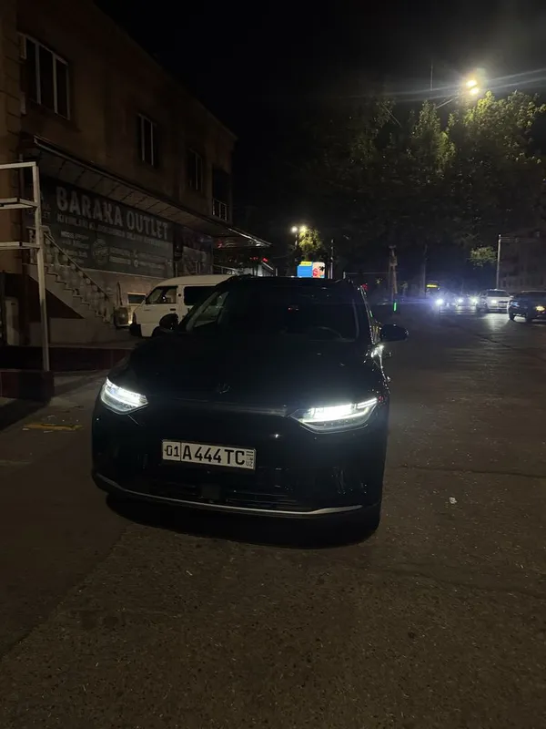 Leapmotor c11 full pozitsiya 1