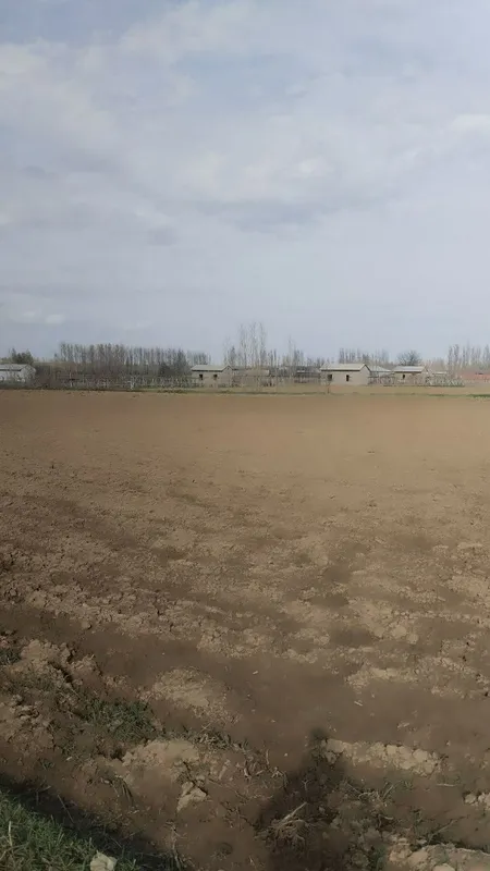 Участка сотилади — фото 2