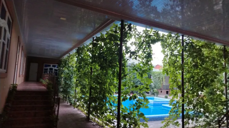 Oq tosh dacha oila va ulftlarga