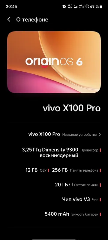Vivo X100Pro 12/256 4