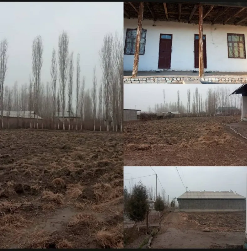 Андижон Бустон ( Буз ) тумани Навруз МФЙда жойлашган учаска СОТИЛАДИ
