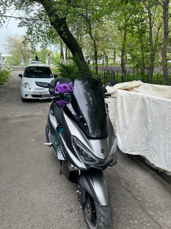 GSt Tiger