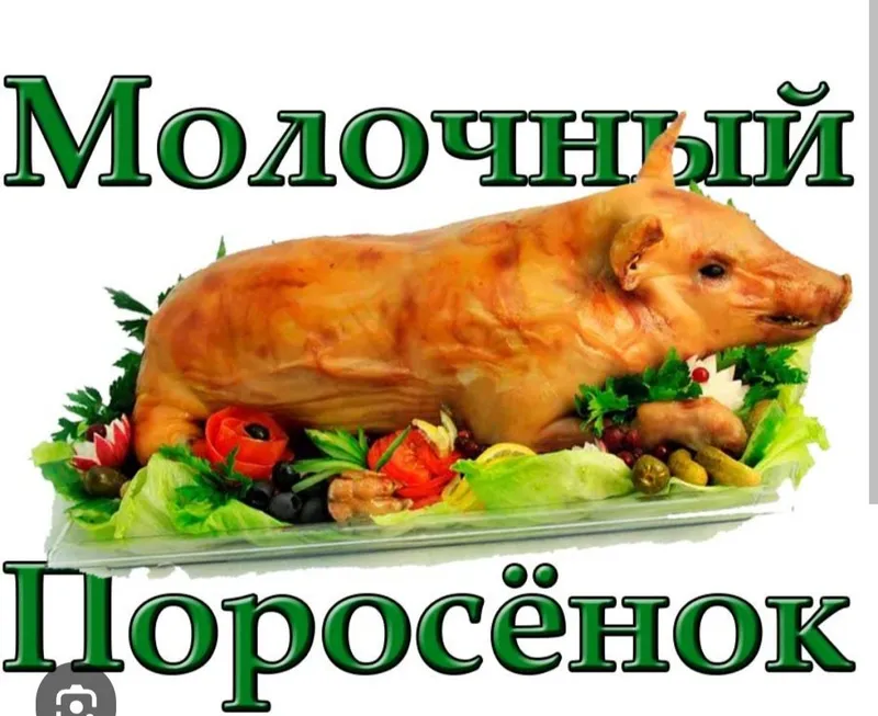Поросята круглый год — фото 6