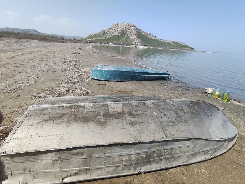 Qayiq sastayana oʻrtacha yashil 5 mln Nargis 7 mln — фото 2 Qayiq sastayana oʻrtacha yashil 5 mln Nargis 7 mln — фото 2