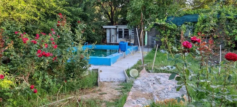 Продам срочно дачу на ташморе. Дача с бассейном на природе. 3 Продам срочно дачу на ташморе. Дача с бассейном на природе. 3