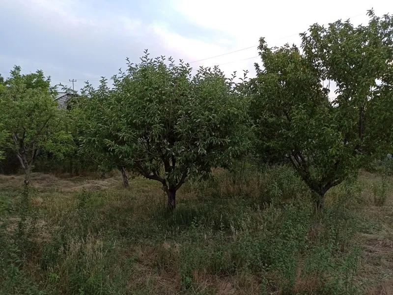 Продается участок с коробкой — фото 2
