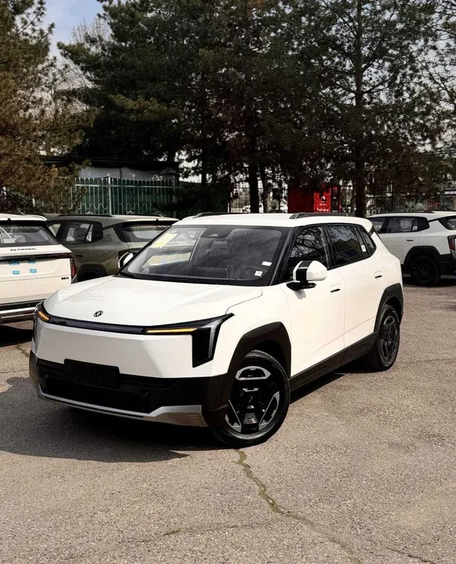 Dongfeng Nammi 06 elektr gibrit