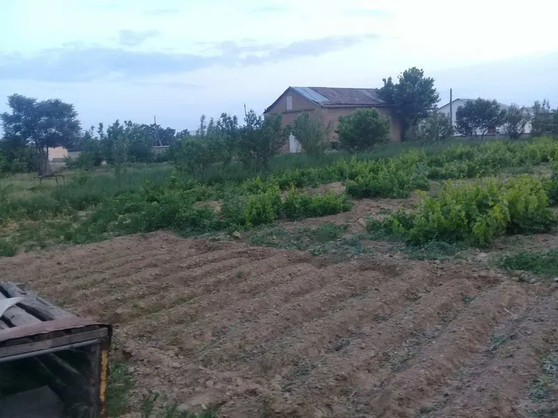 Жой сотилади, бу́линадиган. Нархи келишилади. — фото 4