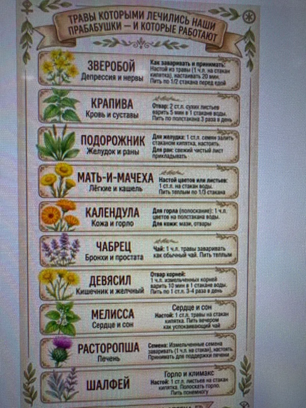 dorivor giyohlar 1 dorivor giyohlar 1