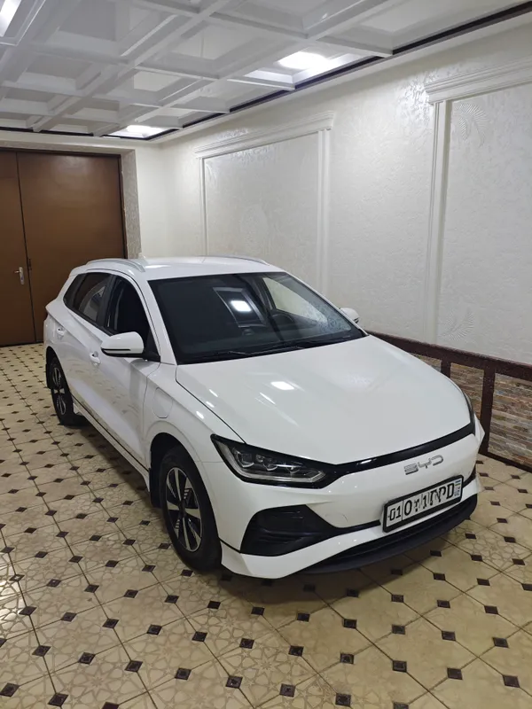 BYD e2 Luxury 2024 1 BYD e2 Luxury 2024 1
