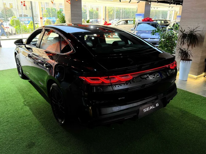 BYD Seal 6 DM-i 120 km Flagship 6 BYD Seal 6 DM-i 120 km Flagship 6