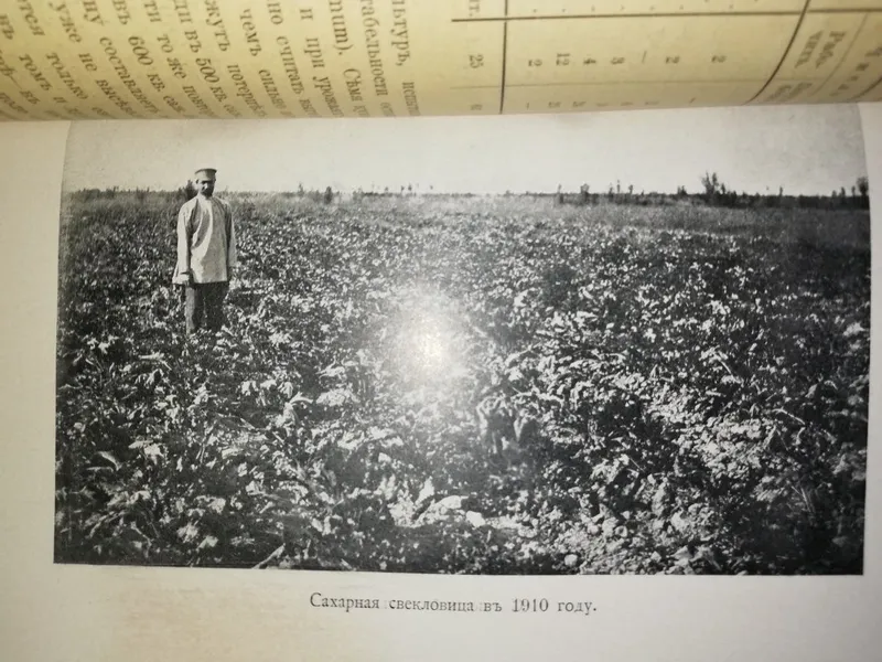 Носков "Хлопковое хозяйство в голодной степи" 1914 г. — фото 5