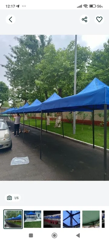 Zontik arenda naves 24 7 dastafka xizmati bor