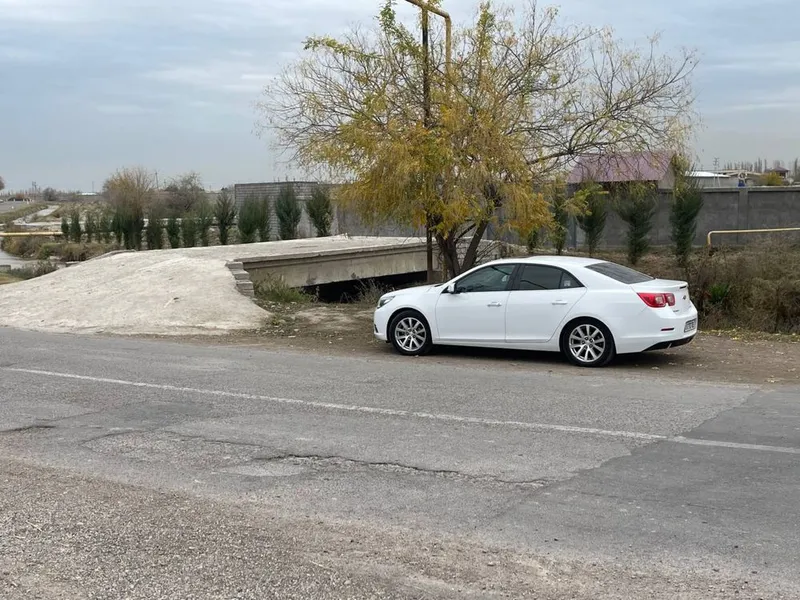 arenda 50 sotik yer