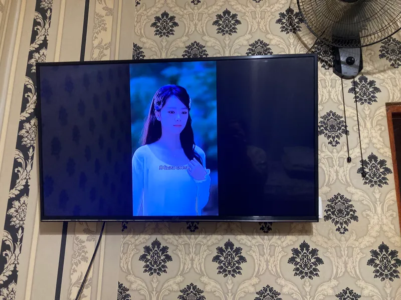tv tv