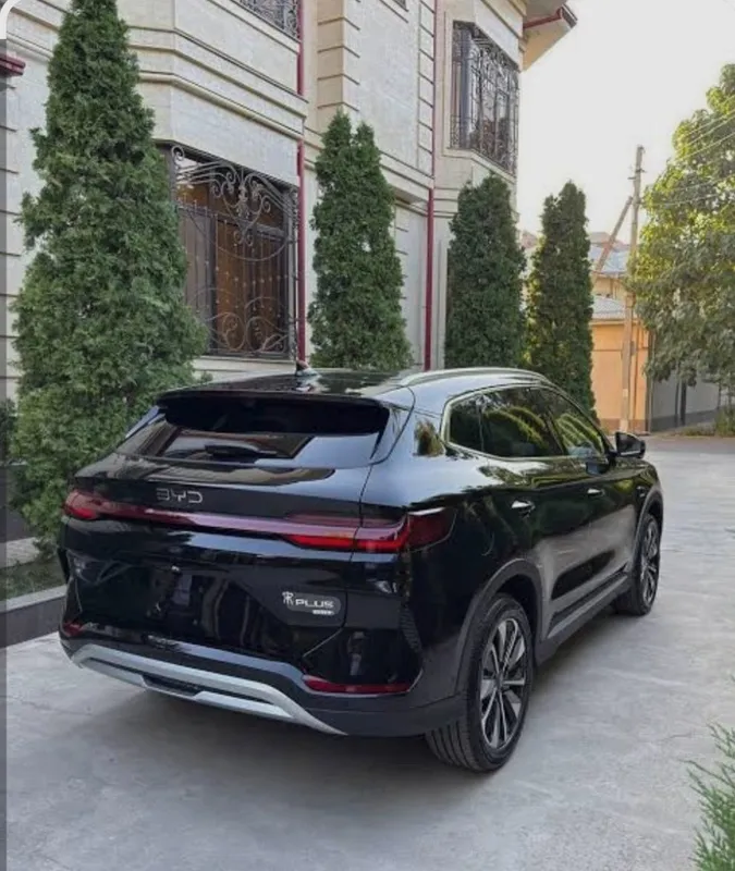 byd chempion smart — фото 1