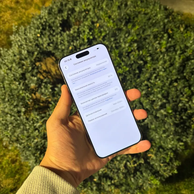 iPhone 16 Pro Max 256 ГБ, 91% 3