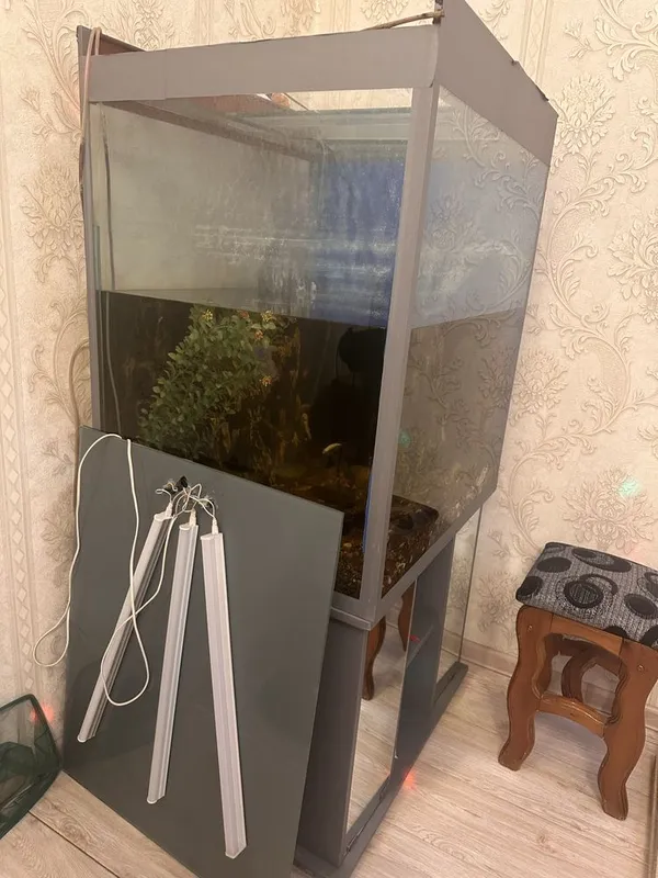 Akvarium olib ketish 2