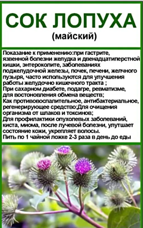 Сок Лопуха [майский] 500мл — фото 1