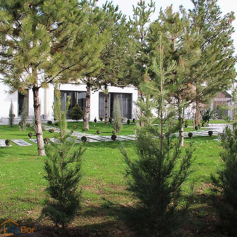 ЕВРО ЛЮКС Роскошная ВИЛЛА, 5 км от поста Тузель 40 лет победы крестик — фото 3