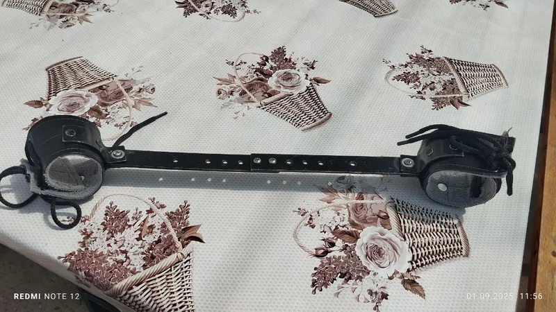 Artapetik Shina