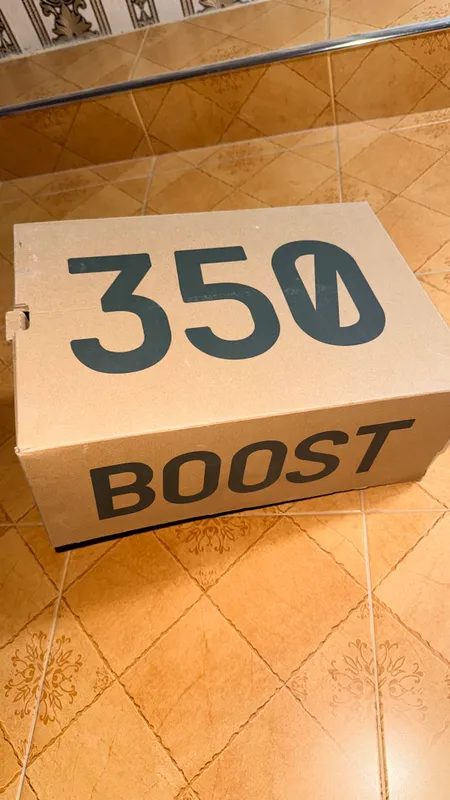 Кроссовки Adidas Yeezy Boost 350 V2 Carbon Beluga — фото 1