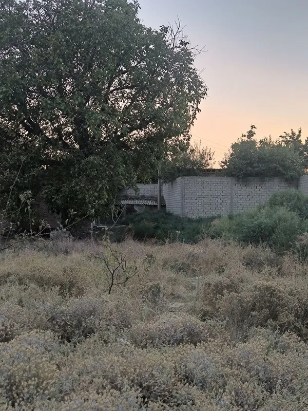 Продаётся земельный участок, Дурмень, Саниф, Кибрайский район — фото 2