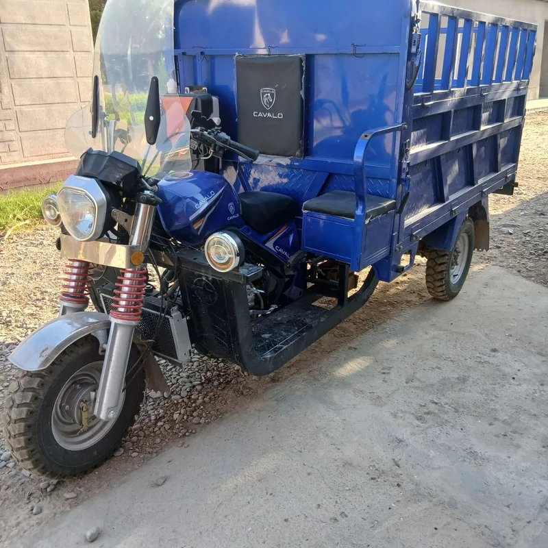 Moto muraviy 2 tonnalik