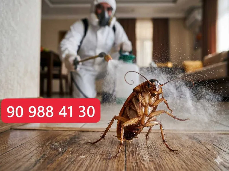 Toshkentda tezkor dezinfeksiya 24/7! Tarakan, burga yo'q qilish