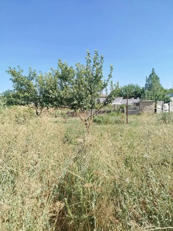 hovli 9 sotik 6 hovli 9 sotik 6