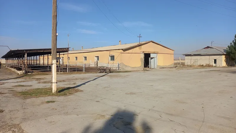 Молхона бино ва иншоотлар