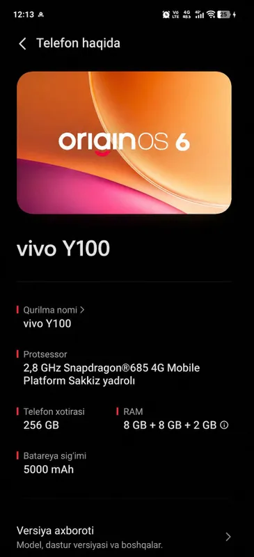 vivo y100 4g 3